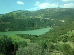 Moroccan countryside (Green?)