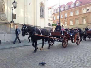 Common travel in Warsaw